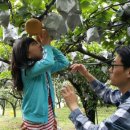 현대사슴농장 이미지