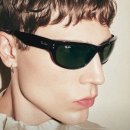 메타로라 이미지