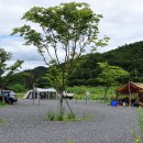 강변오토캠핑장 이미지