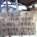 오늘도 대박