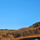 다온오토 이미지