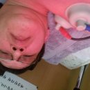 제삼한의원 이미지