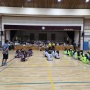 2025 서울특별시 교육감배 학교스포츠클럽 (여자 초등부 5조 ) 피구대회 이미지