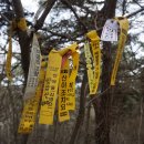 곡성-235 이미지