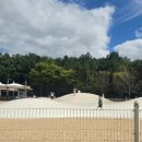 (주)나비원 | [울산대공원-남문] 주말에 아아와 가볼만한 곳-고래놀이터&amp;뜀동산&amp;무지개그물놀이터