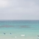 로또식탁 이미지