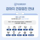 정담 동물메디컬센터 이미지
