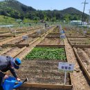 시민 아시아경제