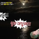 오상진 카카오 검색결과