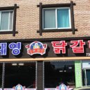 대영닭갈비 Daum카페