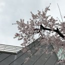 일등정비 | [다이어리숍]아날로그키퍼; 파피어프로스트 방문 후기