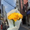 프렌치아 - 강남구 일원로9길 24 | 프렌치아