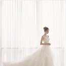 소피아 플라워 스튜디오