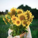 만평 공인중개사 사무소 이미지