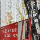 이일정보 이미지