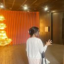 자연사랑 미술관 | 뚝섬미술관 전시, 사랑의 단상 전시 솔직후기 ㅣ 내돈내산