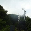 백록 이미지