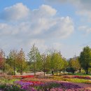 순천만국가정원 이미지