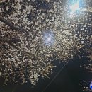 중곡역2번부두 이미지