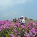 황매산군립공원 이미지