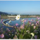 김화초등학교 이미지