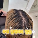 강남 탈색 백금발 뿌리탈색 노란기 없이 완성한 화이트블론드 후기 (깔살롱 위치)