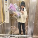 옥천초등학교병설유치원 이미지