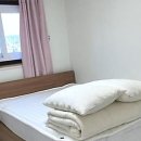 쉼표펜션민박 | 럭셔리 힐링의 정점! 국내 숨은 프라이빗 펜션에서 발견한 완벽한 휴식