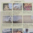 자동차사랑방 | 영월 삼굿마을 워크숍 후기｜농촌관광은 결국 스토리와 사람이더라