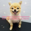 괴정3동-3 이미지