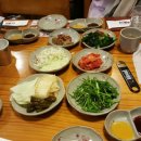 코리안덕 이미지