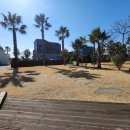 돌고래공인중개사사무소 이미지