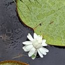 부안교 - 양평군 | 부안교