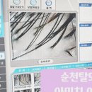 아미치 | 순천 탈모 관리 아미치 제품 사용 3개월 후기