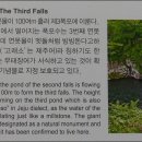 천제연폭포 이미지