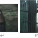 서울대공원 이미지