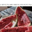 천수의원 이미지