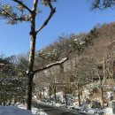 5인가족 | 제천 포레스트리솜 s25 숙소 5인 가족 솔직 후기