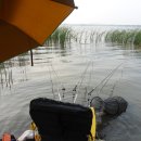 남양호 상류 이미지