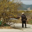 고향산촌 이미지