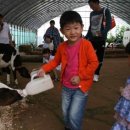 동욱목장 이미지