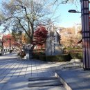 황지연못 가는길 이 이미지