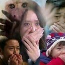 카페 오하라 이미지