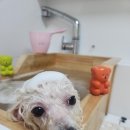 소사미용실 이미지