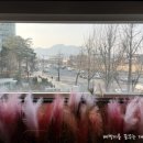 도화서길카페 이미지