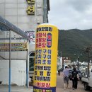 해성비치회맛집 이미지