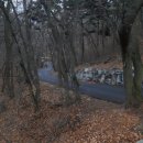 신양1리 마을회관 이미지