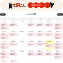 일본 구마모토 2박 3일 혼자여행 2일차 (3) - 쿠마몬 덕후 필수 코스! 쿠마몬스퀘어 공연 후기