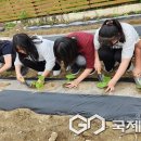 군남초등학교 이미지