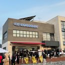 율포씨 | 2026년 보성 율포해수욕장 가는 길 해돋이 후기 (해돋이 스팟)